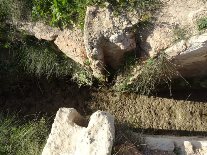 Acequia 1