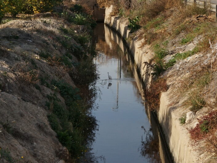 Acequia 2