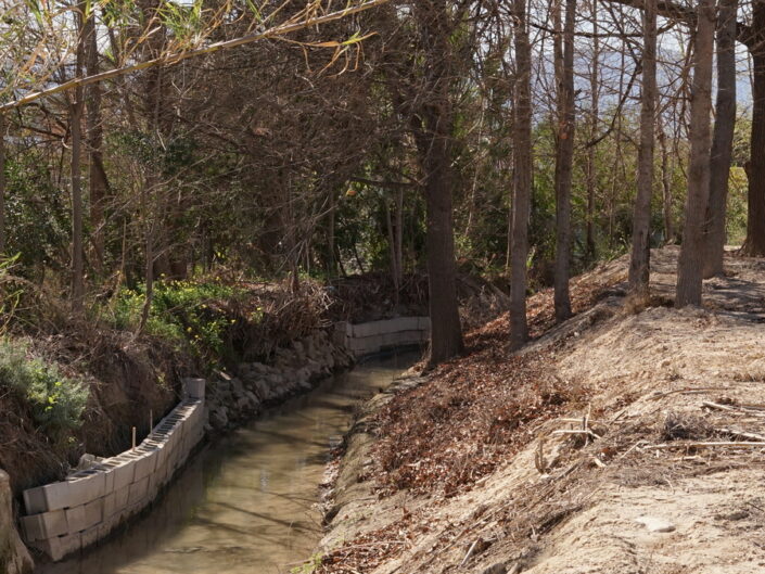 Acequia 3