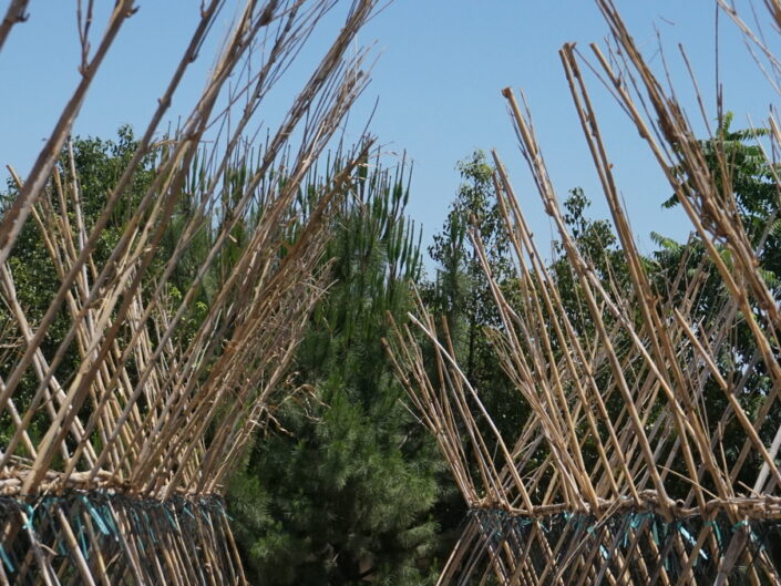 Acequia 4