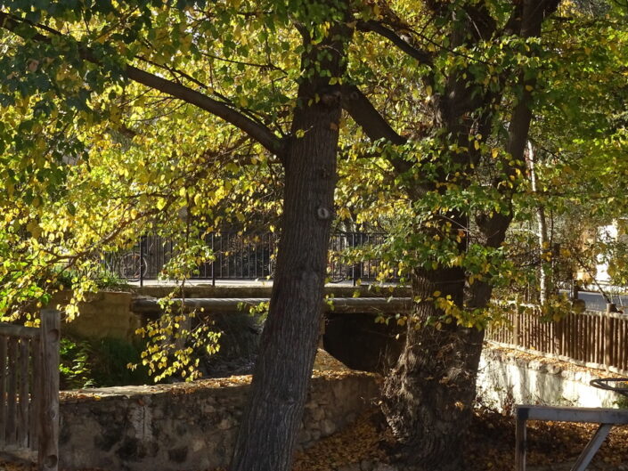Acequia 5