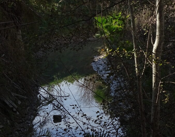 Acequia 6
