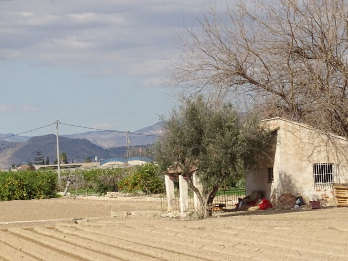 Barraca