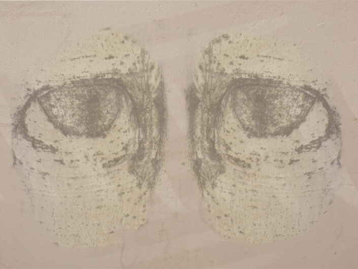 La mirada