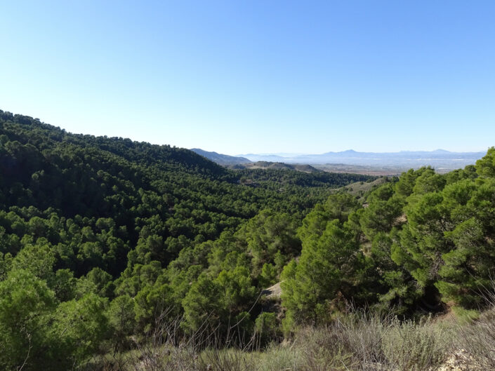 Sierra del Puntarrón